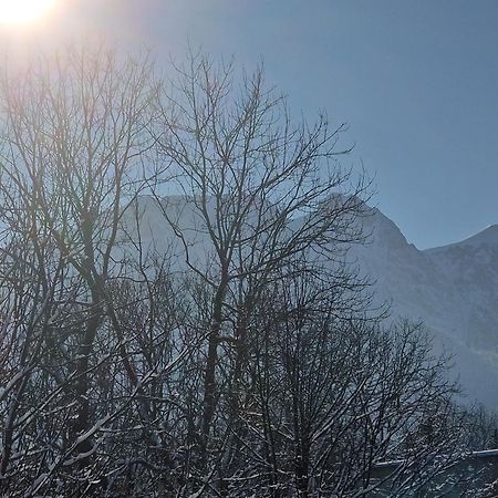 Apartament Lukaszowki Przy Krupowkach Zakopane Zewnętrze zdjęcie