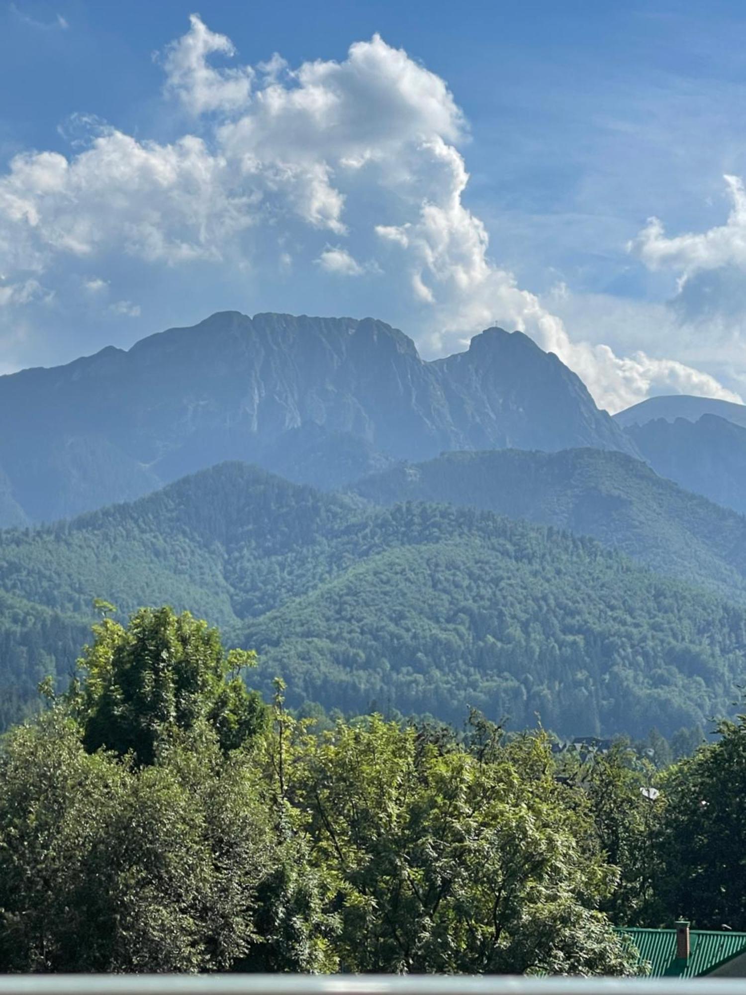 Apartament Lukaszowki Przy Krupowkach Zakopane Zewnętrze zdjęcie